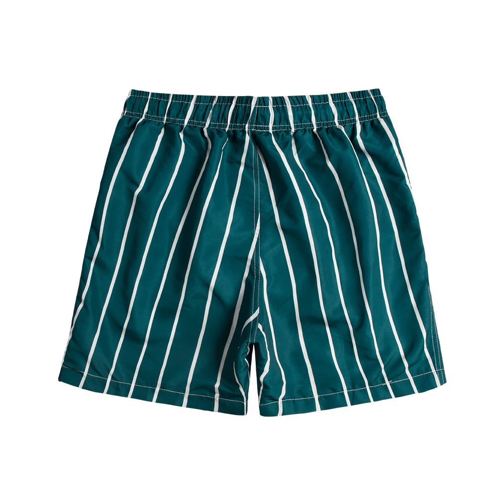 Green Vertical Stripe Men's Quick Dry Beach Shorts Swim Trunks