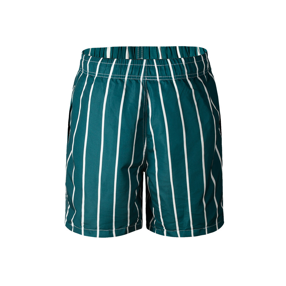 Green Vertical Stripe Men's Quick Dry Beach Shorts Swim Trunks